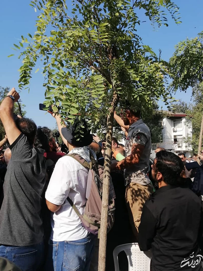 هوشنگ ابتهاج